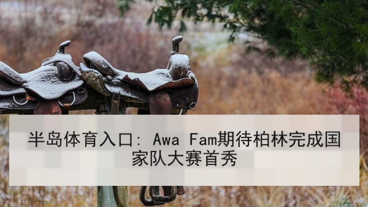 半岛体育入口: Awa Fam期待柏林完成国家队大赛首秀