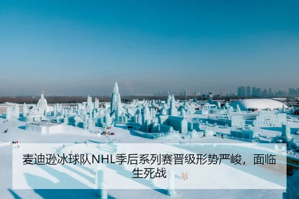 麦迪逊冰球队NHL季后系列赛晋级形势严峻，面临生死战